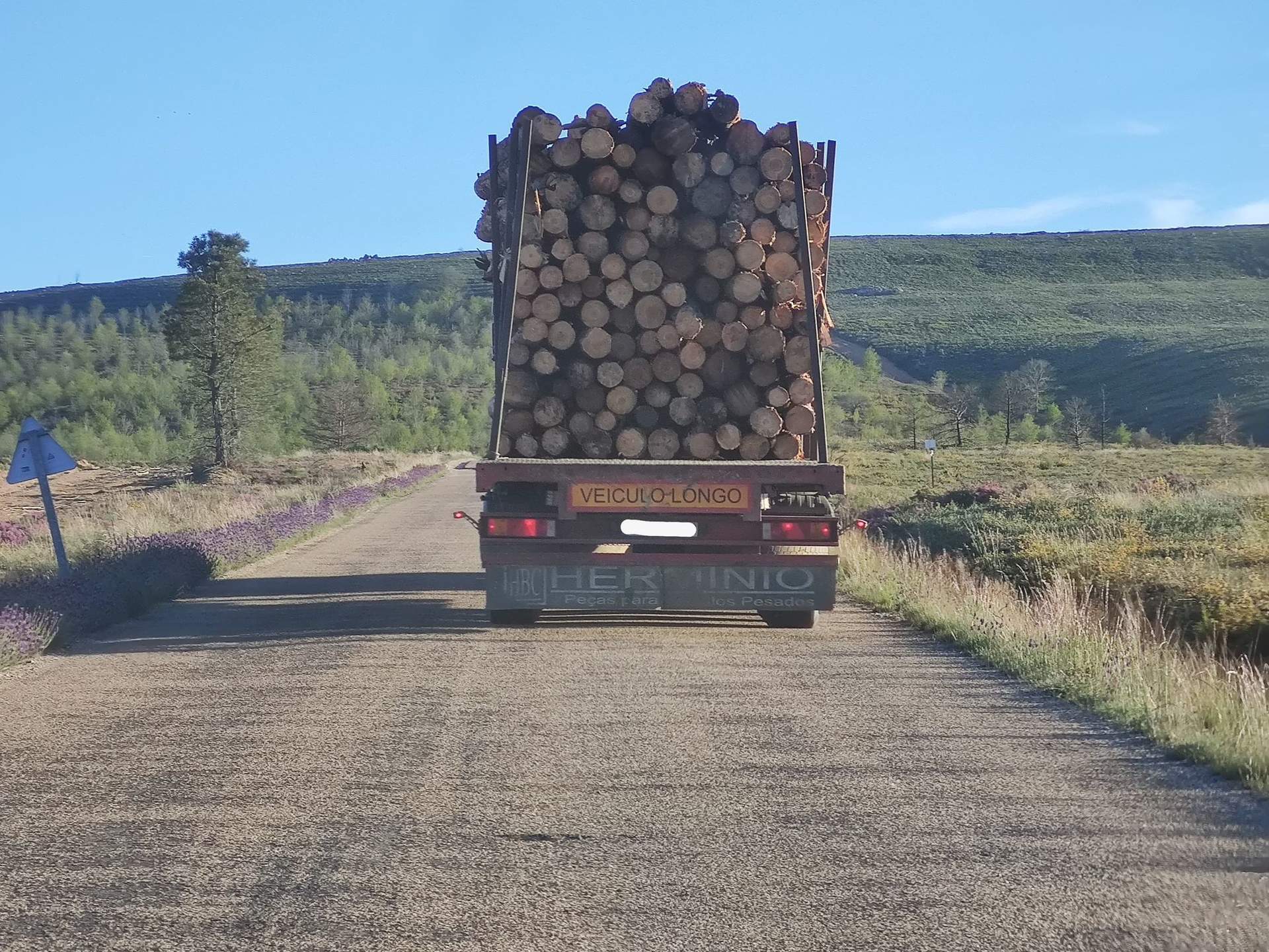 camión de madera. Otero de Bodas. Imagen cedida