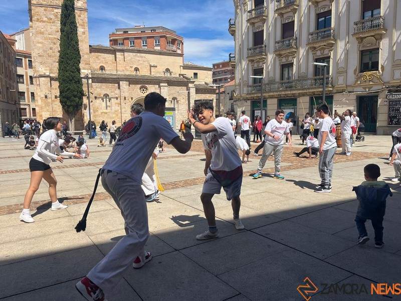 capoeira _3