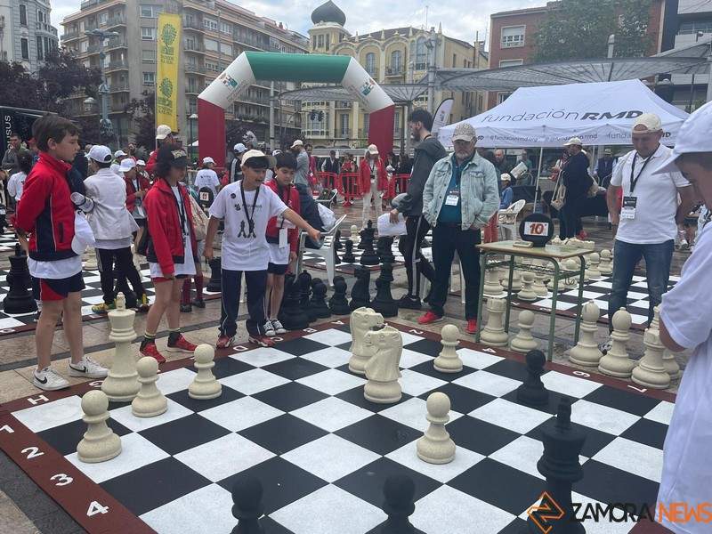 torneo ajedrez _17