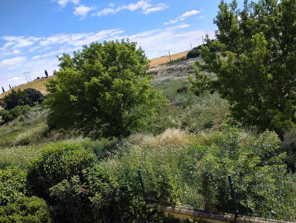 Estado jardines y arroyo Andavías