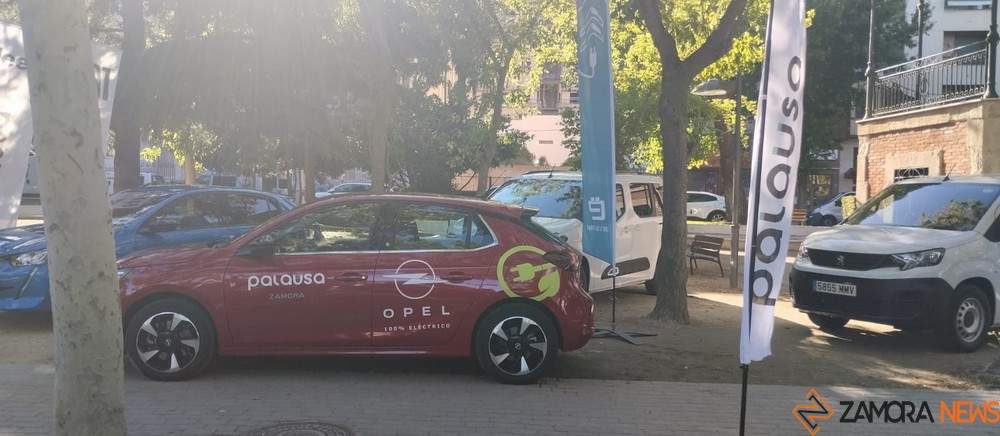 coches eléctricos _6