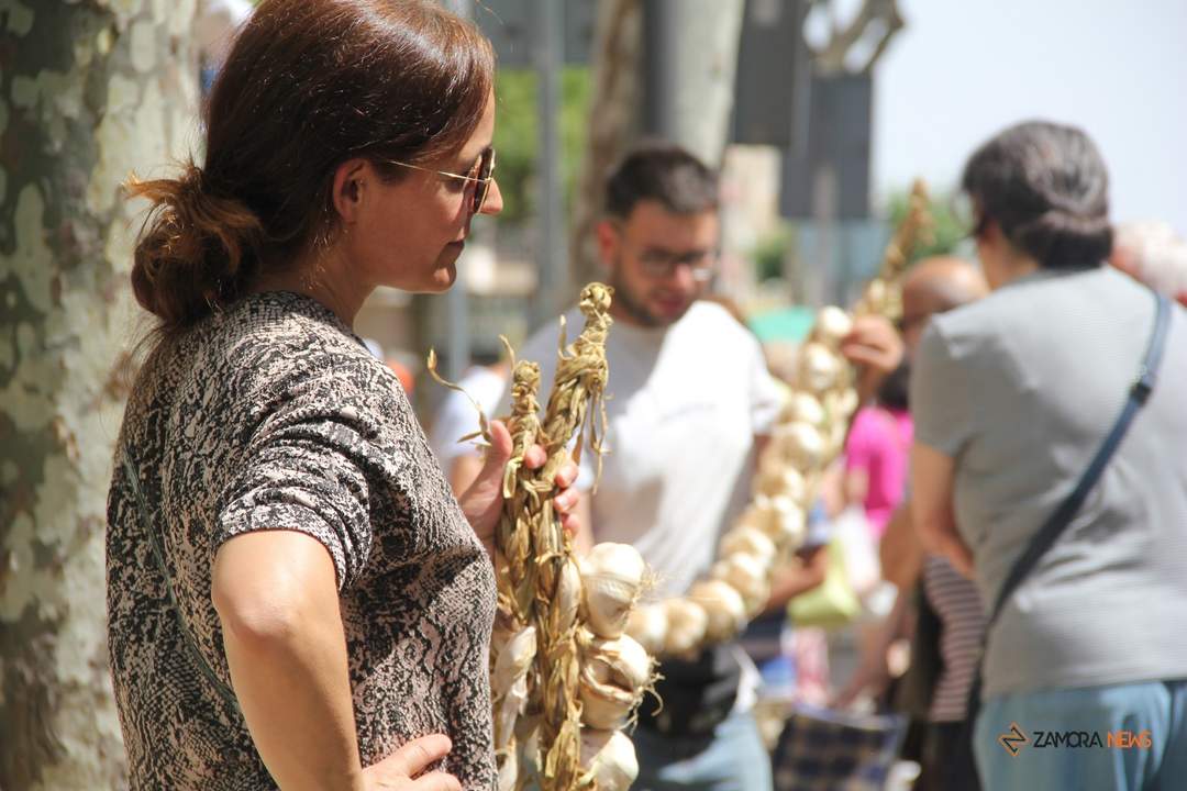 Feria del ajo 2024_45