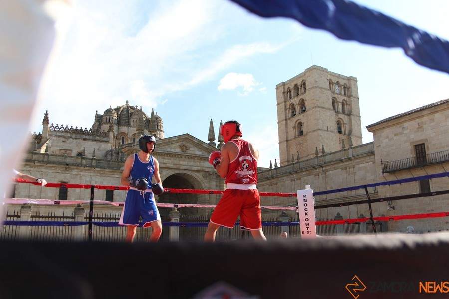 BOXEO1