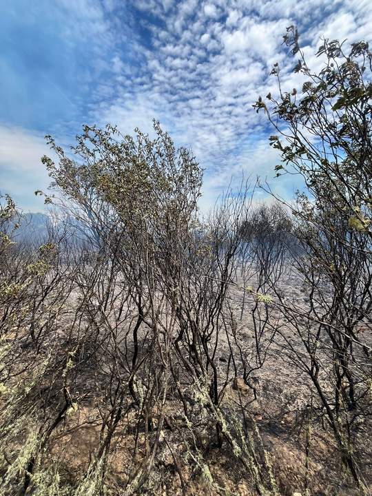 Incendio Villar de Farfon