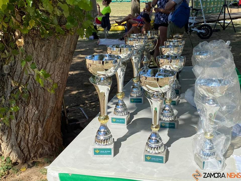 Liga Open Dragones