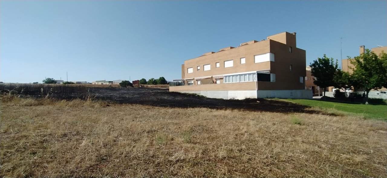 extinguido el incendio del bosque de Valorio
