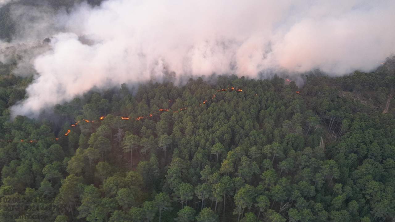 incendio avila