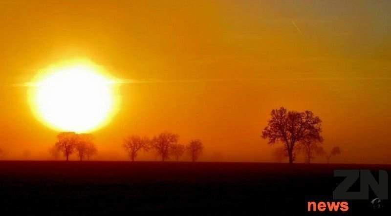 calor zamoranews