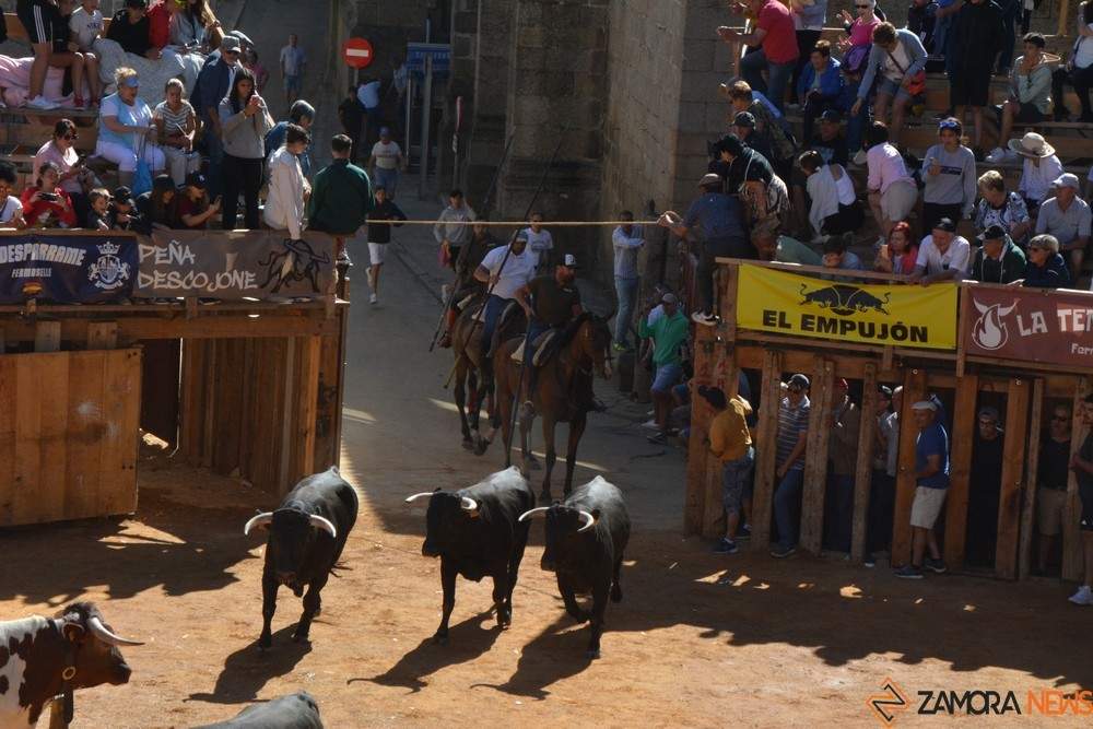a caballo encierro fermoselle 2024_63