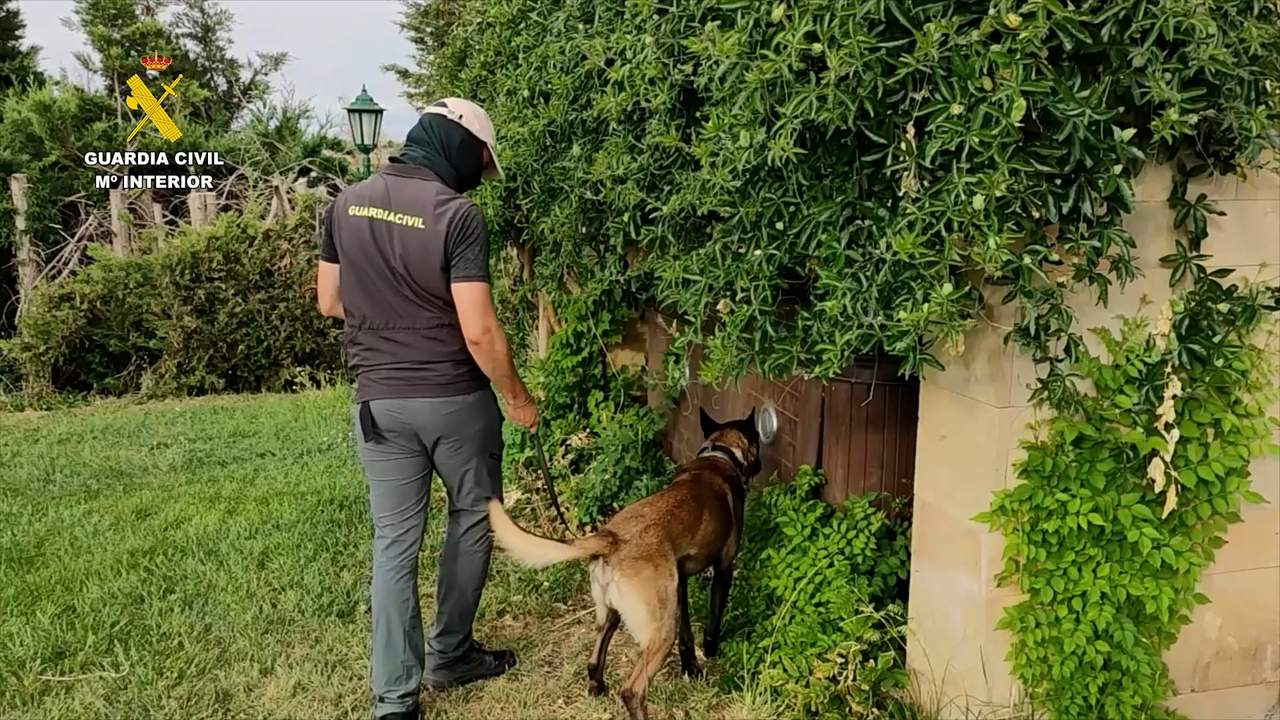Redada Guardia Civil