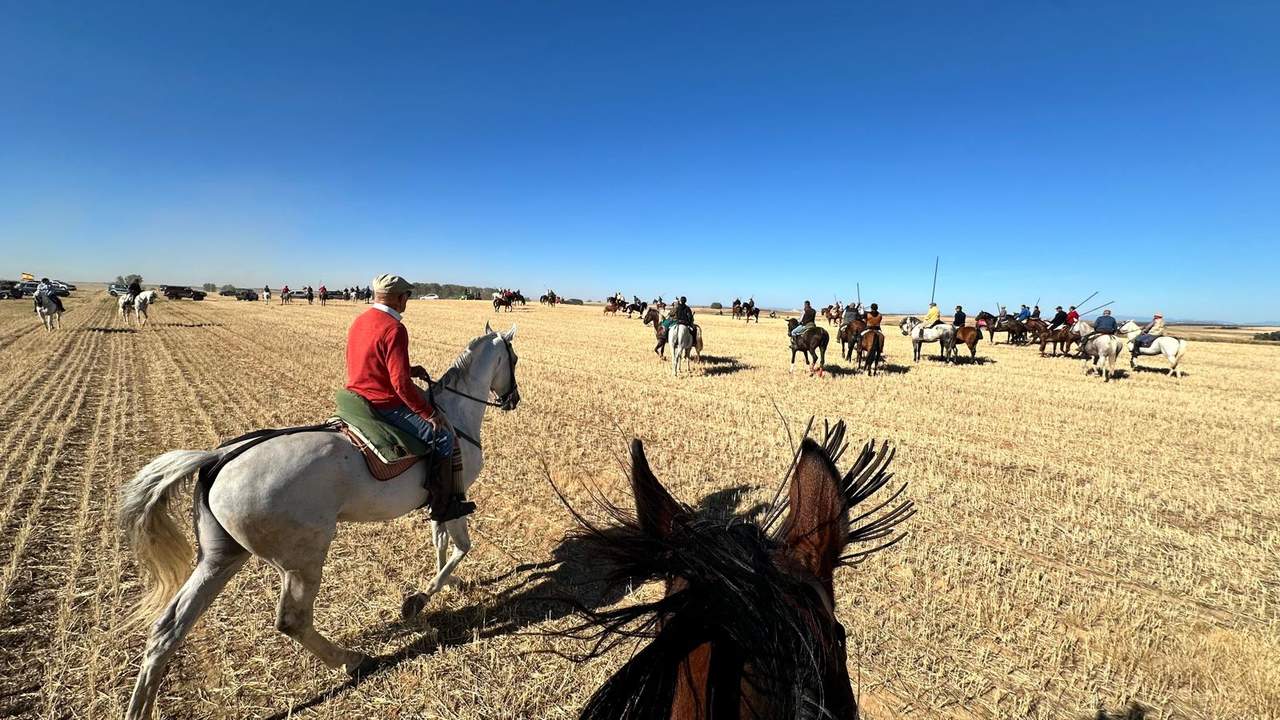 Fiestas Fuentes de Ropel (1)
