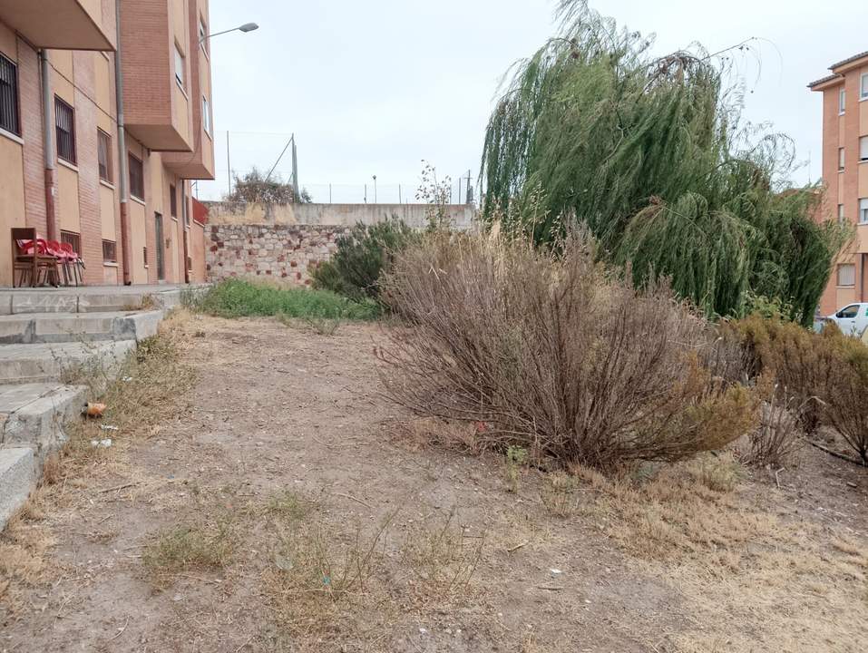jardín muerto