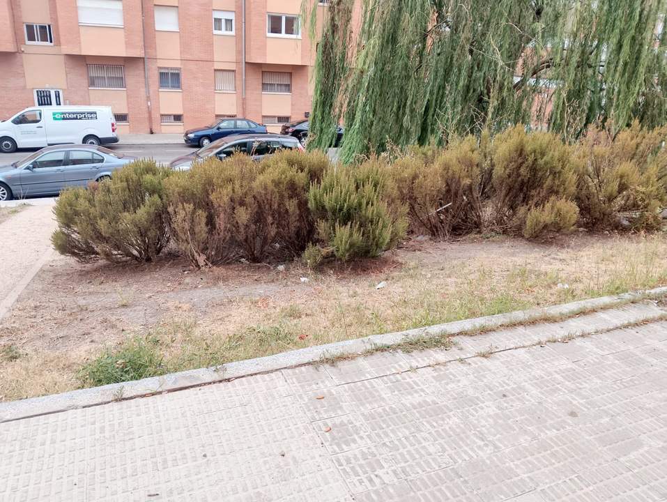 Jardín muerto2