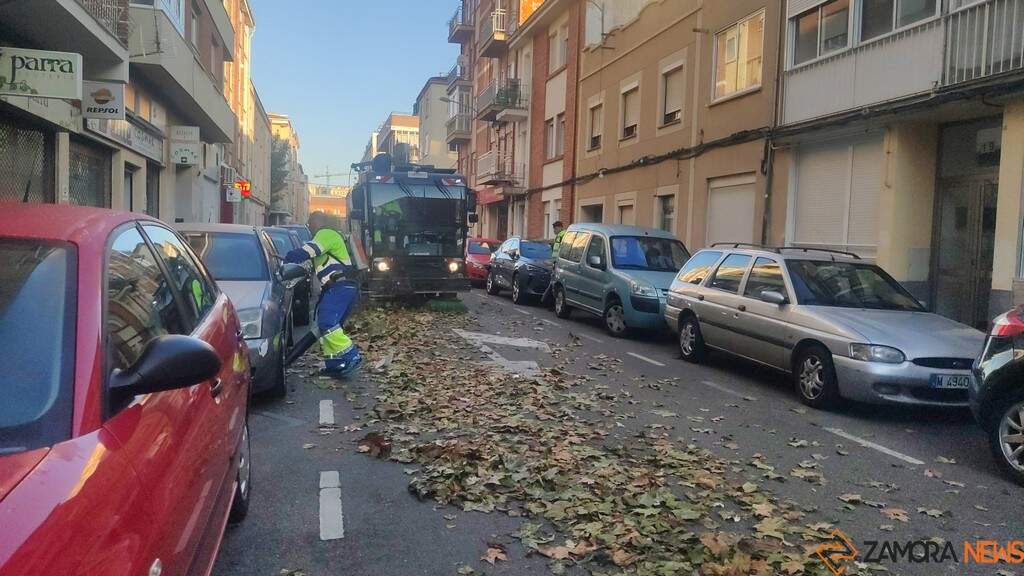 servicios de limpienza de Zamora _2