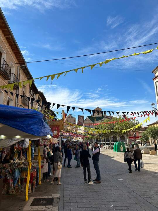 Mercado y Vendimia Toro (2)