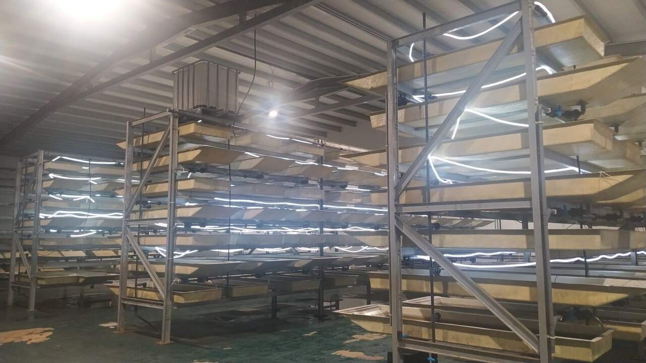 Instalaciones criaderos