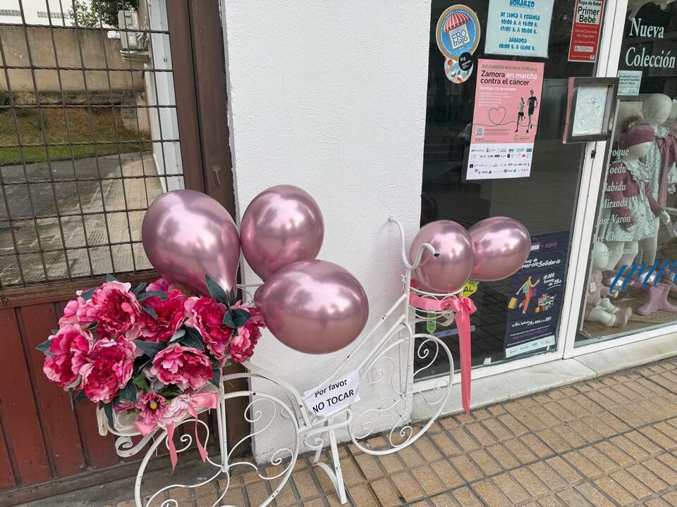 los comercios de Zamora se visten de rosa (7)