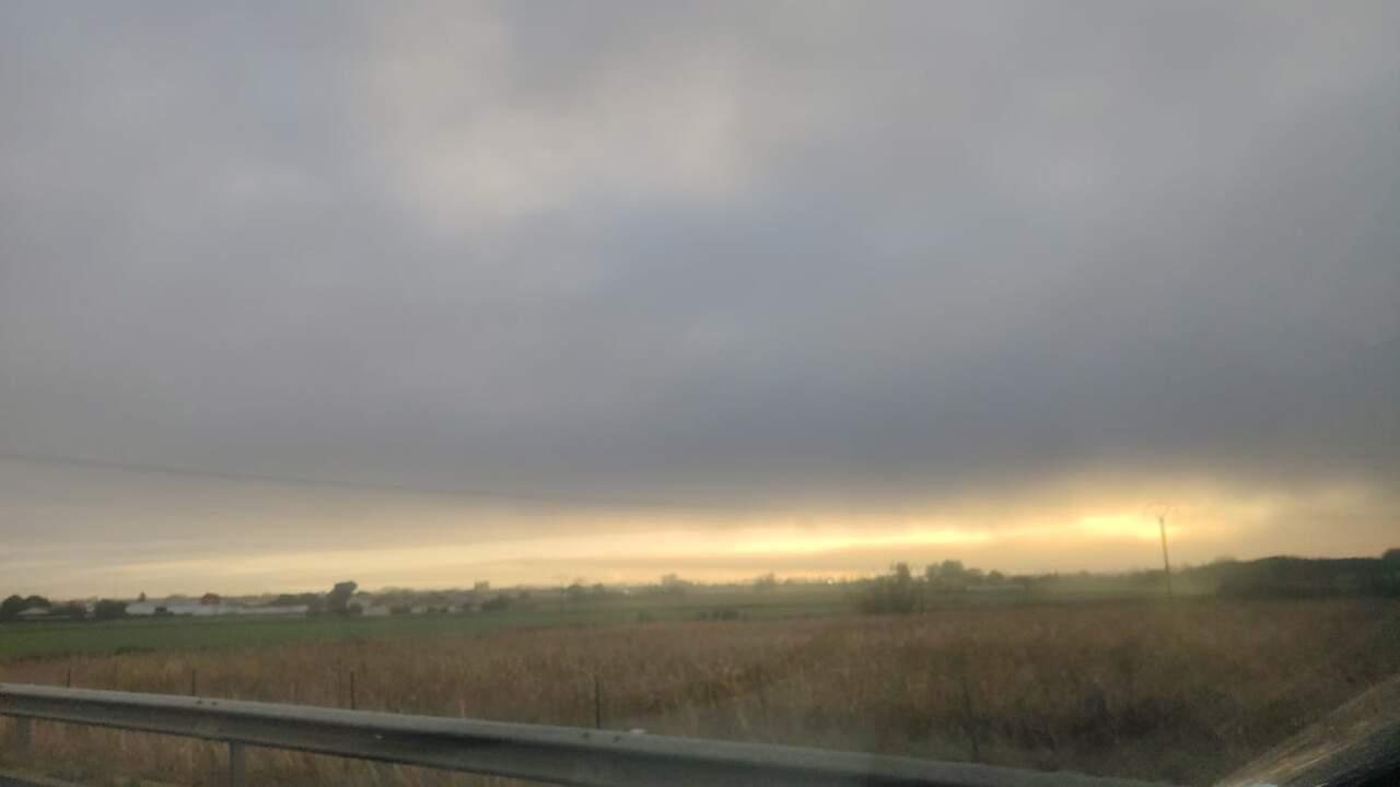 niebla (2)