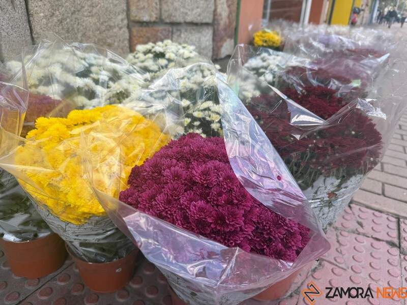 flores Todos Los Santos