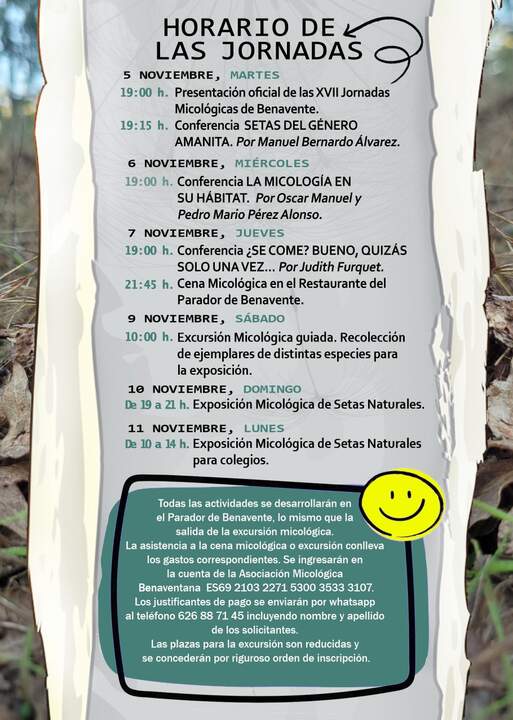 CARTEL MINI 2024cara b-1_page-0001