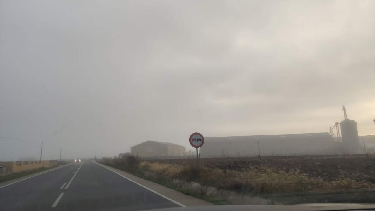 niebla