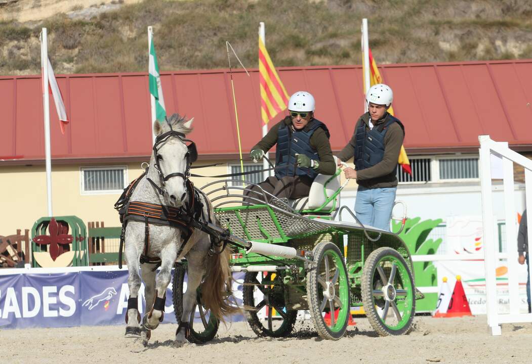 Manuel Vicente Hernandez, Campeón de Castilla y León de Enganches de Limoneras 2024 (1)