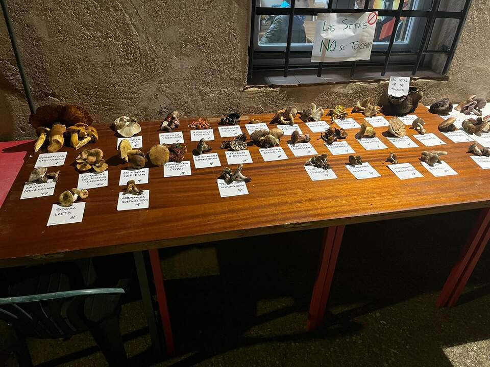 Jornadas Gastronómico-Micológicas de Pozuelo de Vidriales (1)