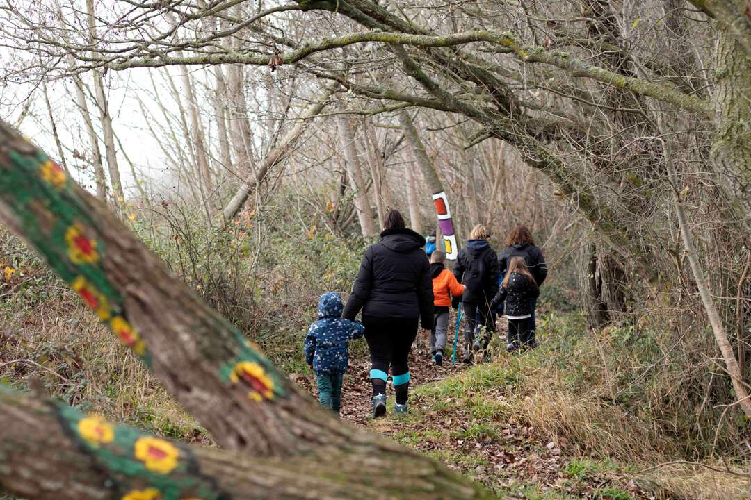 IV Caminata del Tesoro en El Bosque Encantado de Santibáñez de Tera. IMAGEN CEDIDA (3)