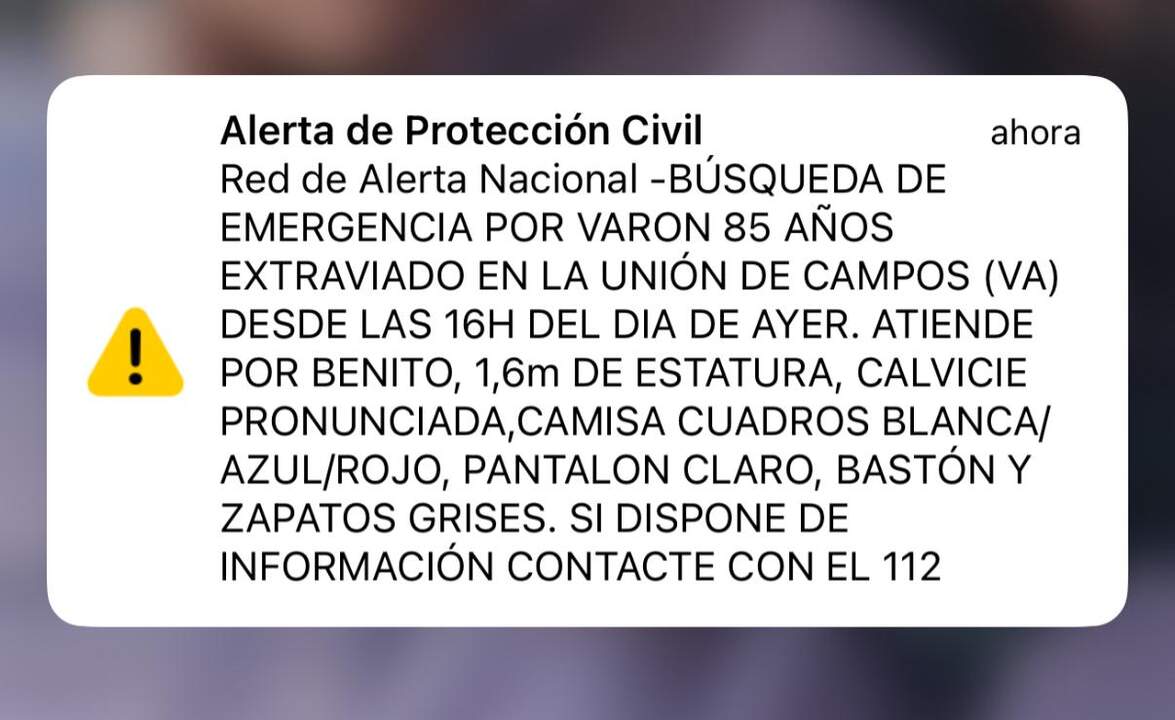 Alerta Busqueda