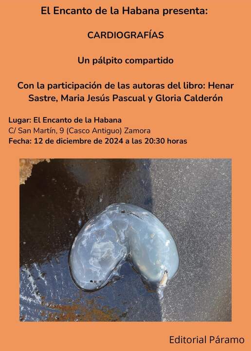 cartel presentación Cardiografías