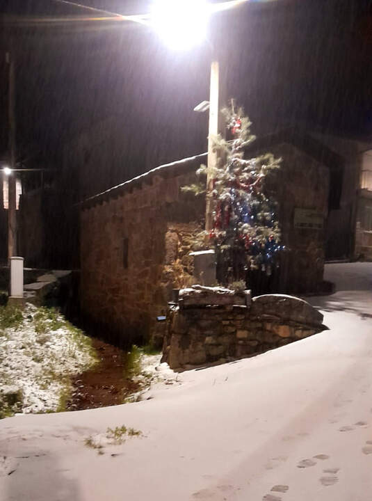 Nieve sotillo