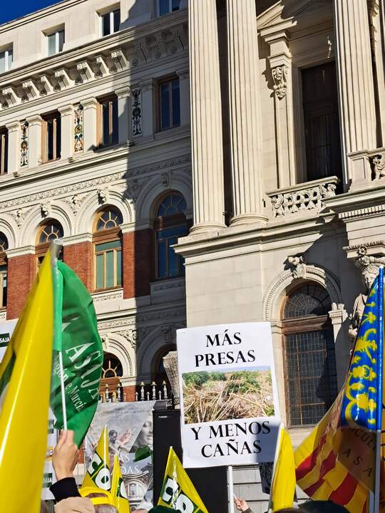manifestación sector agrario en Madrid 16D. IMAGEN CEDIDA (4)
