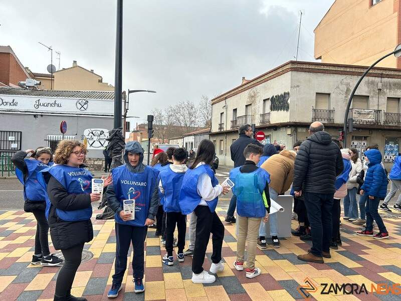 recogida alimentos Colegio Nuestra Señora del Rocío _10