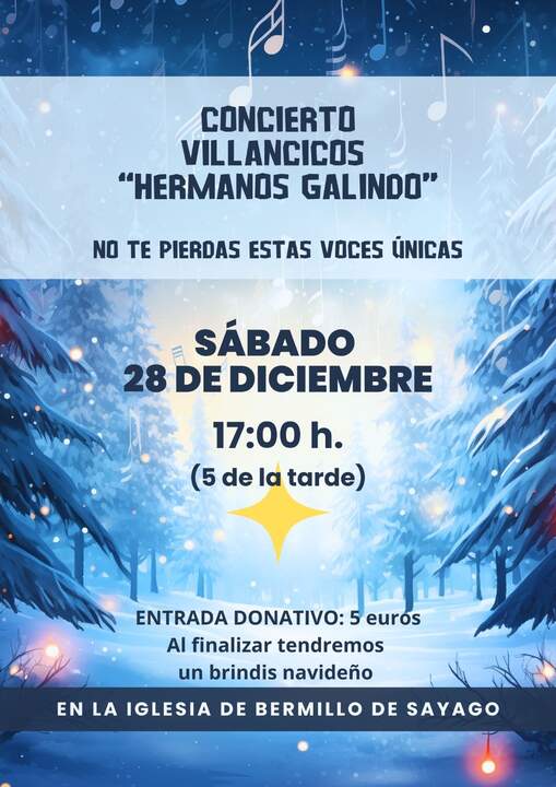 CARTEL CONCIERTO HNOS GALINDO