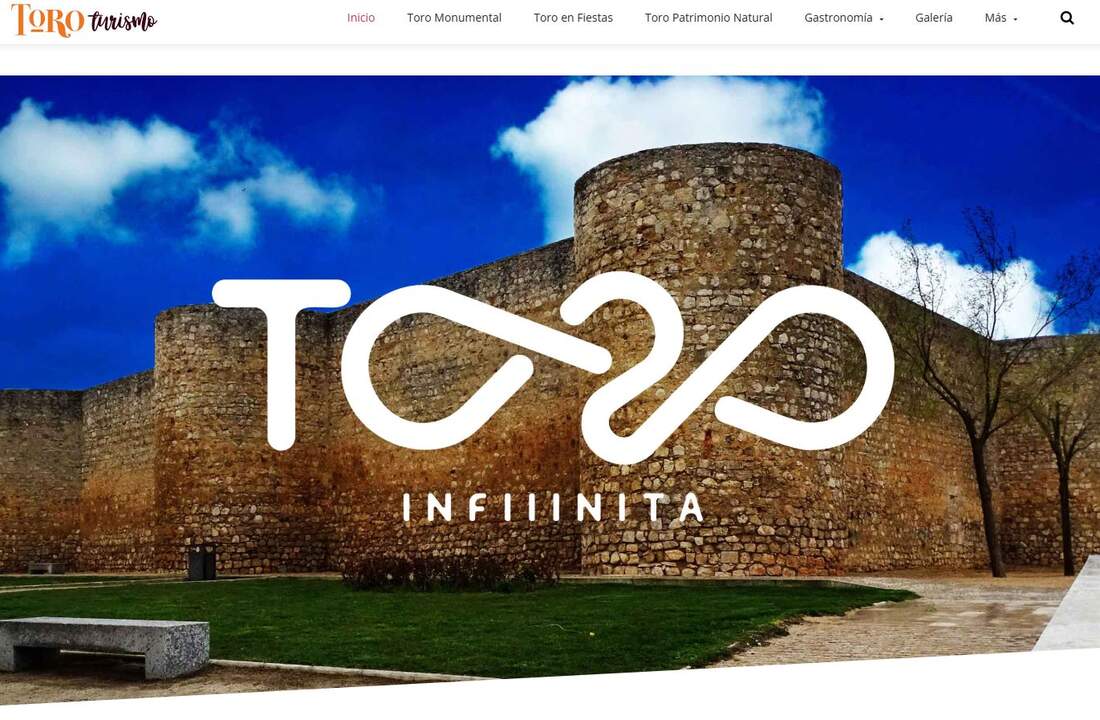 Toro Turismo Web