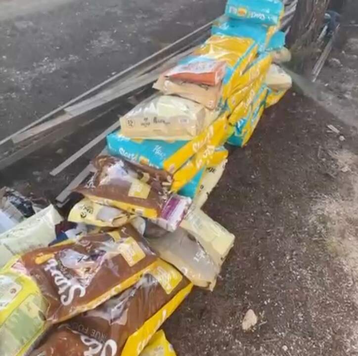 Asociación Animales Toro 2