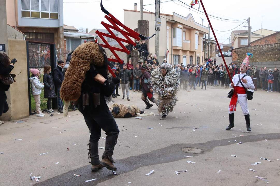 Los Carochos de Riofrío de Aliste. IMAGEN CECIDA (1)