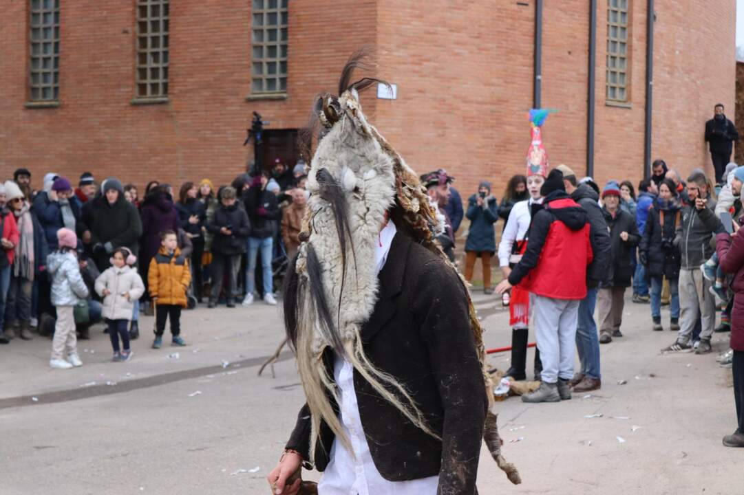 Los Carochos de Riofrío de Aliste. IMAGEN CECIDA (3)