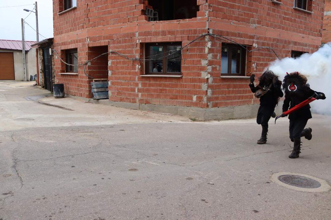 Los Carochos de Riofrío de Aliste. IMAGEN CECIDA (5)