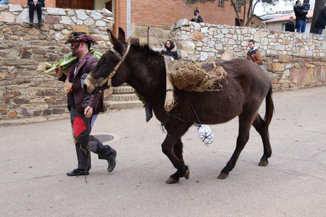 Los Carochos de Riofrío de Aliste. IMAGEN CECIDA (6)
