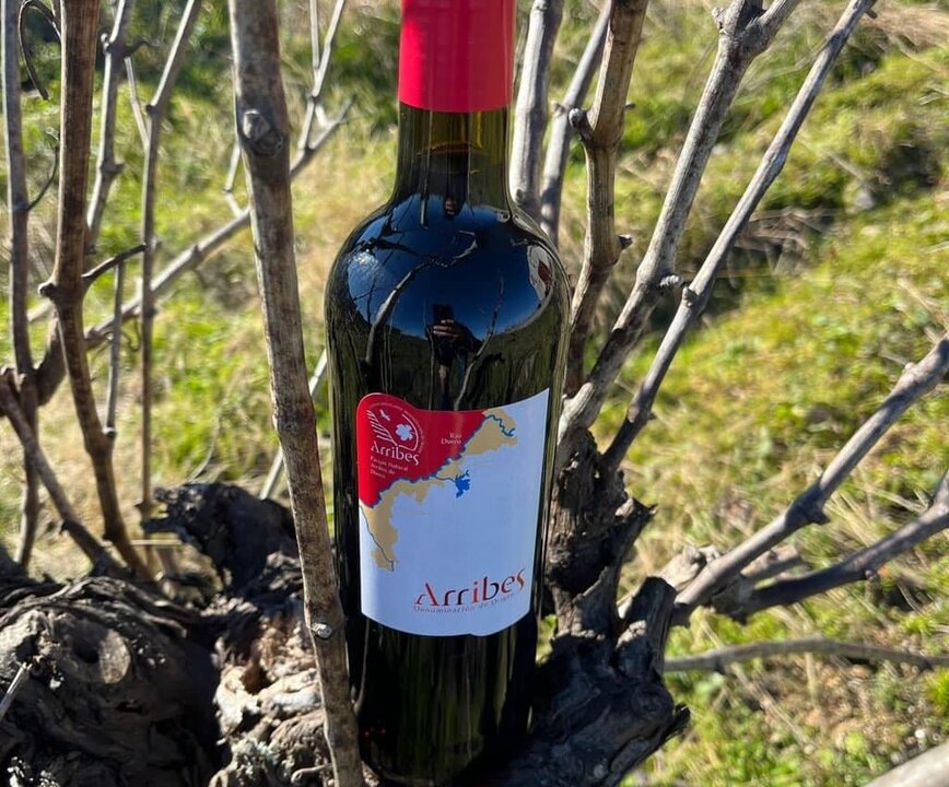 Vino Arribes Ocultos