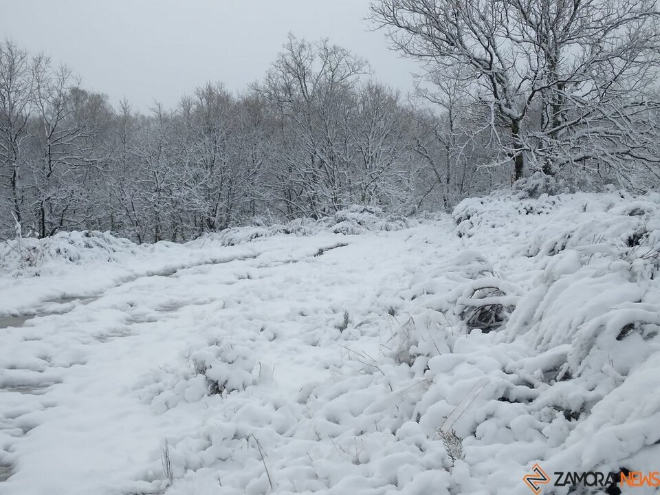nieve Lubián _29
