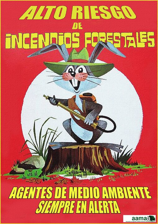 icona conejo y consejo