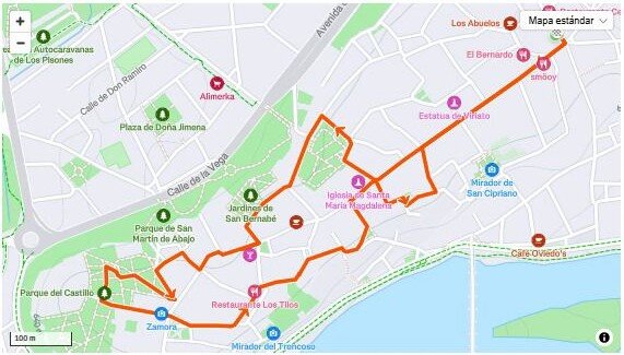 Ruta Dia Solidario AZAVI