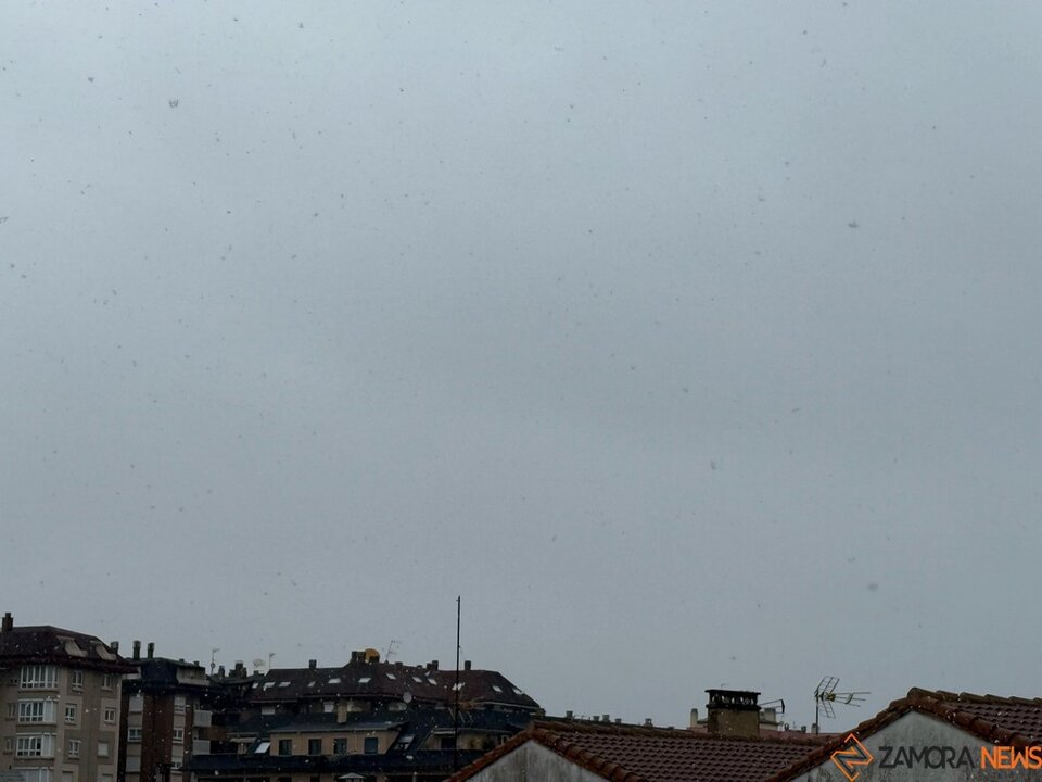 Nieve en Zamora_5