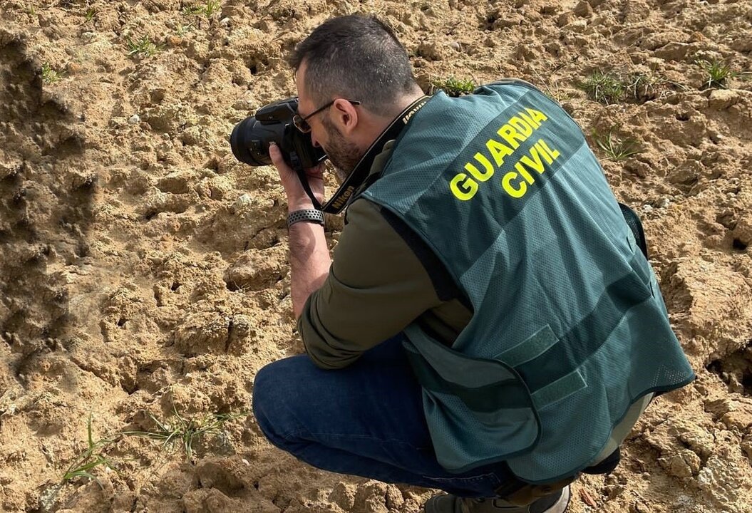 Guardia Civil (1)
