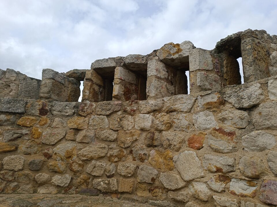 Limpieza muralla San Isidoro (5)