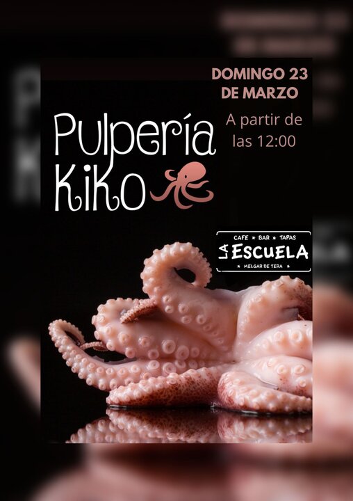 cartel fiesta bar la escuela Melgar de Tera (1)