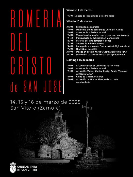 cartel fiesta Cristo de San Vitero