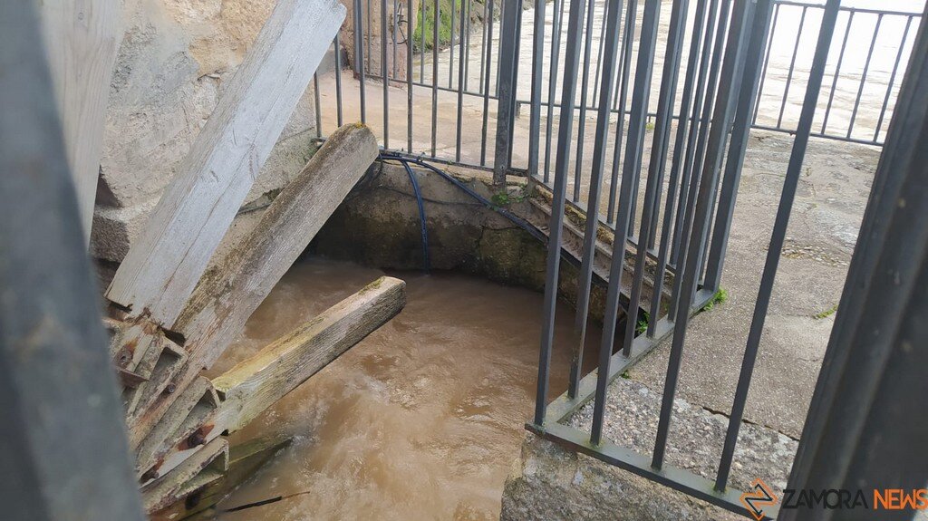 Crecida del Río Duero Zamora_24